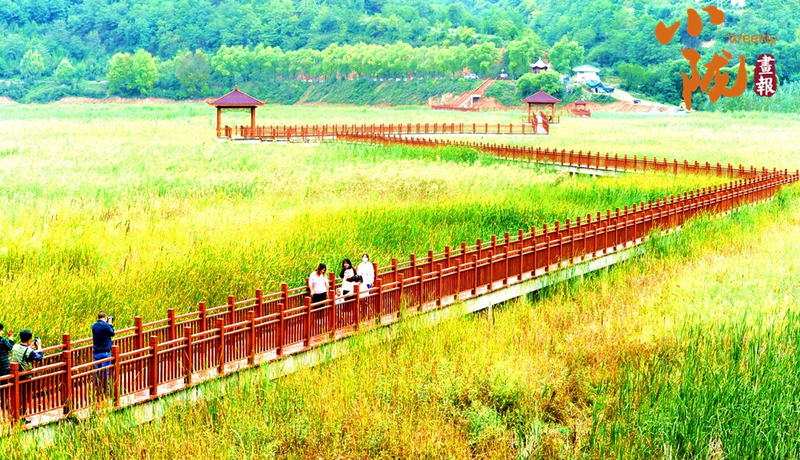 【小隴畫報·437期】初冬，禮縣美的像“油畫世界”