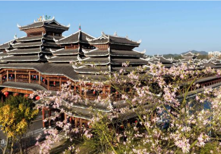 廣西三江侗鄉(xiāng)：花映廊橋美如畫